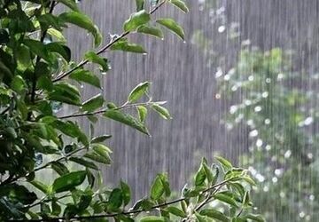 تنفس هوای مطلوب در تهران بارانی 
