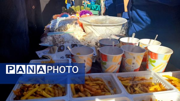 طرح نماد، نماد شکوفایی استعداد دانش‌آموزان