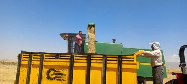 بازدید از مراکز خرید گندم در شهرستان فاروج
