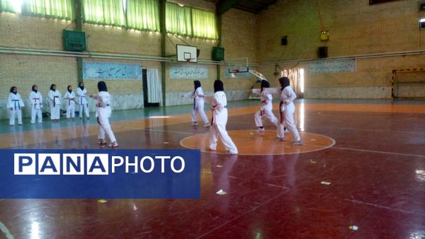 هیجان ورزش در روزهای المپیاد