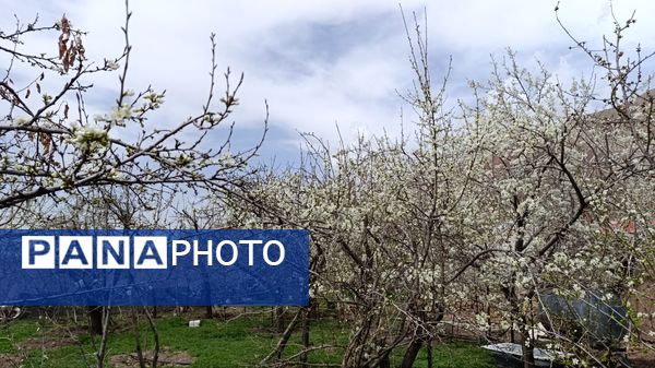 سیزده بدر باستانی در روستای زیارتی و سیاحتی سوقند 