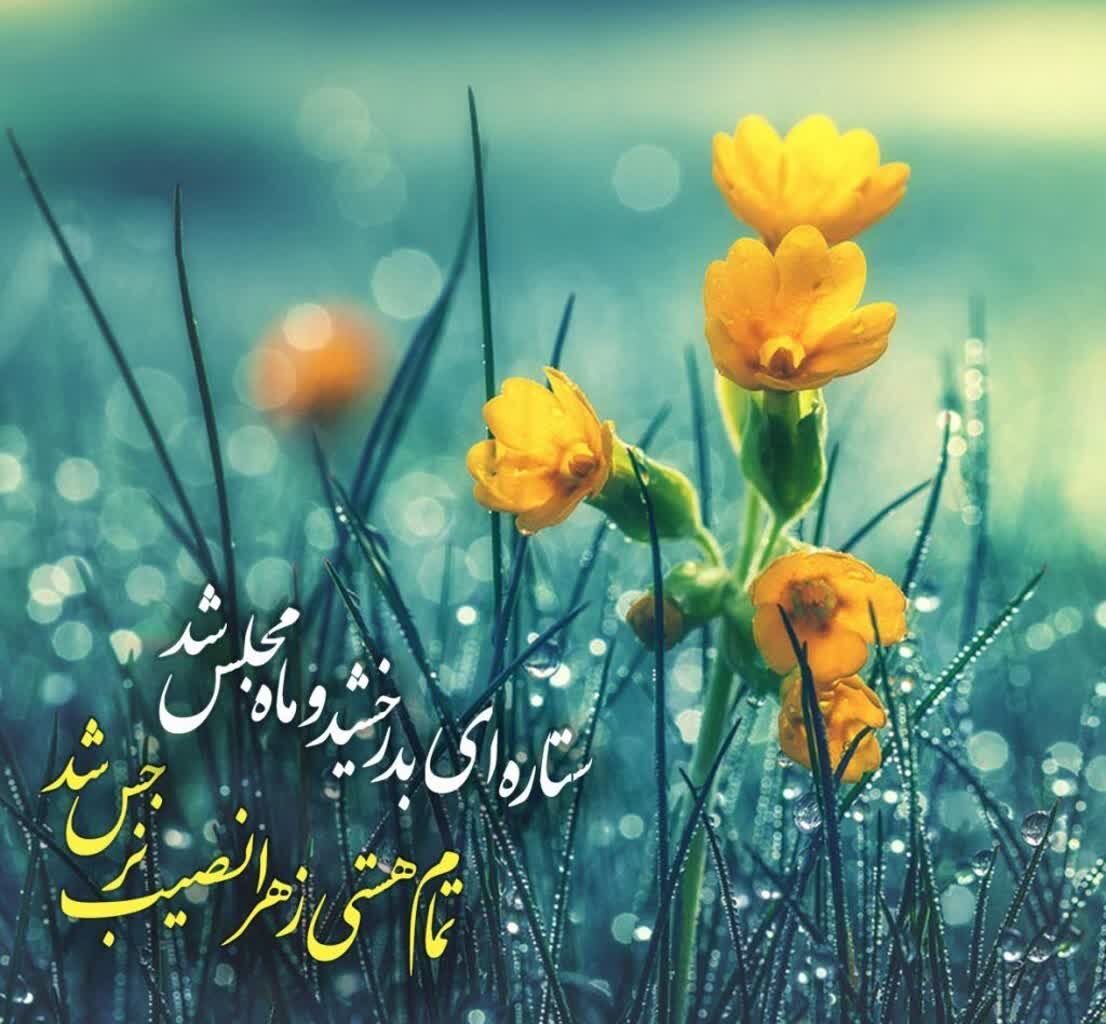 آستانه نیمه شعبان؛ یا گل نرگس کویر انتظار