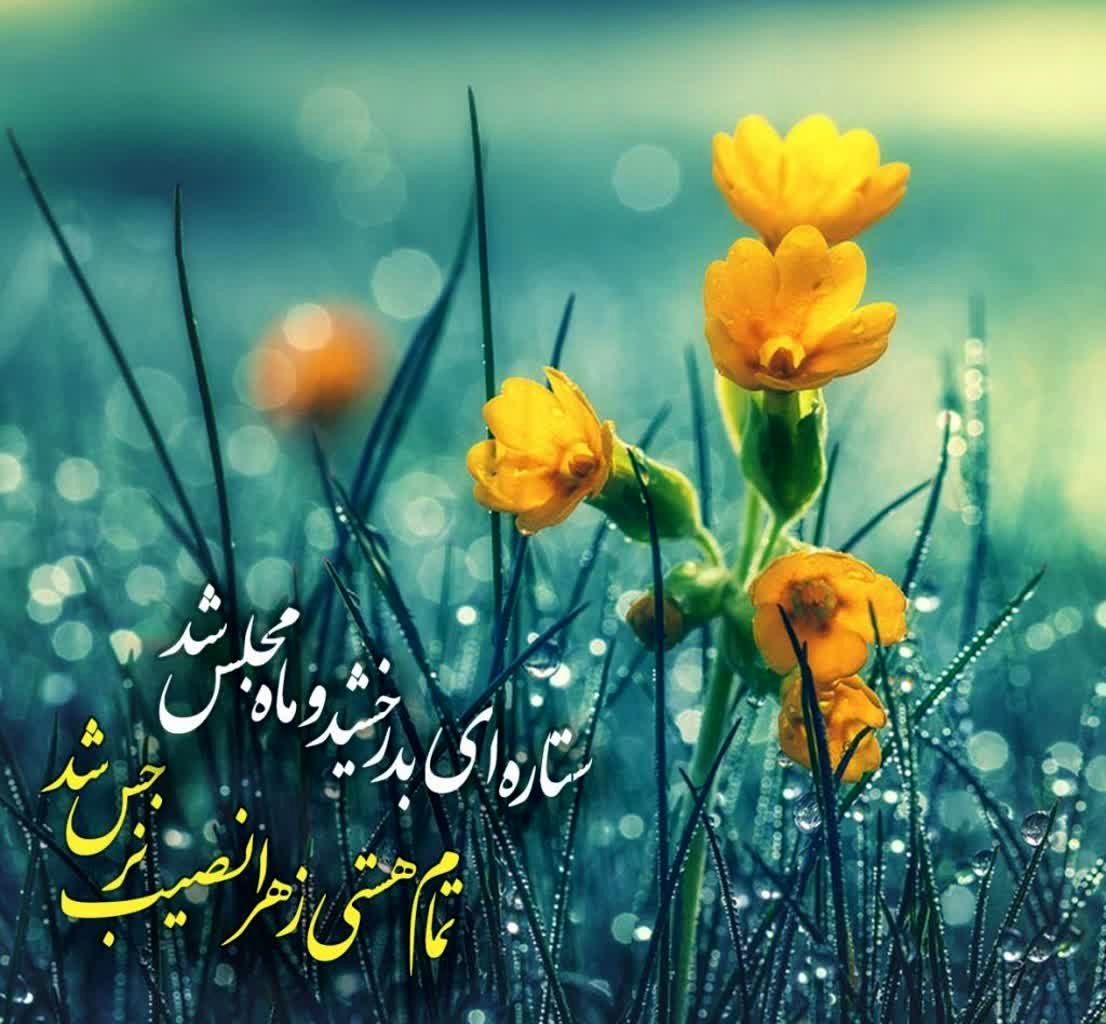 آستانه نیمه شعبان؛ یا گل نرگس کویر انتظار