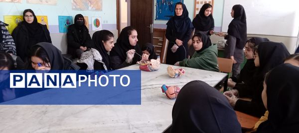 برگزاری کارگاه آموزشی تشریح قلب در آموزشگاه دخترانه عصمت ملارد