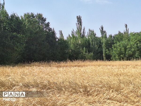 وقتی طبیعت، حرف می‌زند