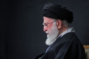 پایداری درخت مقاومت که قائد امت نشاند