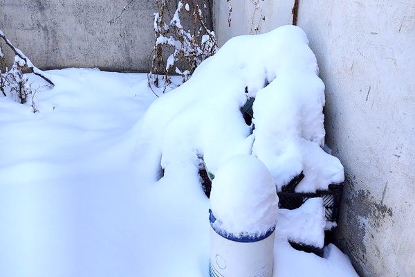 آسمان سخاوتمندانه نعمتش را در ماه شعبان به زمین شهر بار هدیه کرد