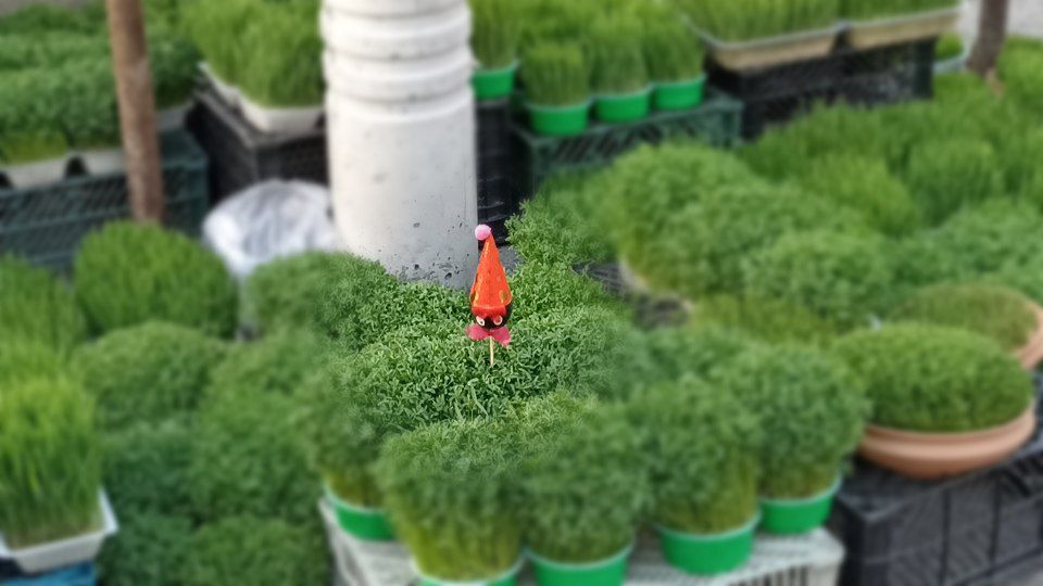حال و هوای بازار عید نوروز در محمودآباد 
