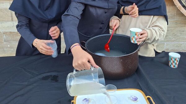 موکب مادر پهلو شکسته