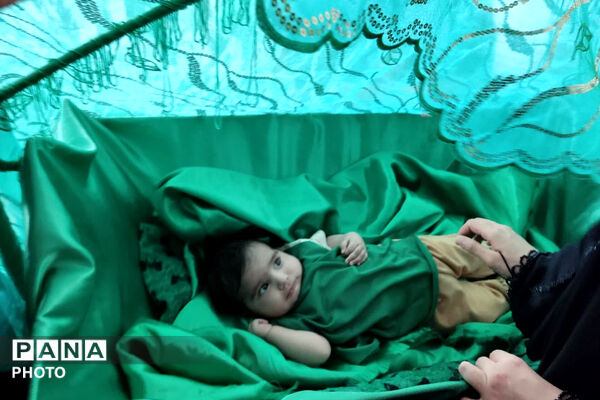 میعادگاه شیرخوارگان حسینی در نی‌ریز
