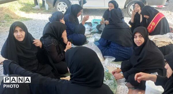 تجلی عشق حسینی در پیاده‌ روی جاماندگان اربعین سلسله