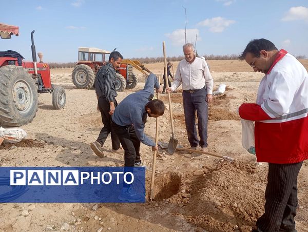 کاشت نهال در آرامستان روستای گزکوه