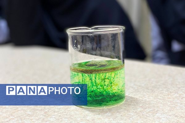 گامی در مسیر کشف حقیقت