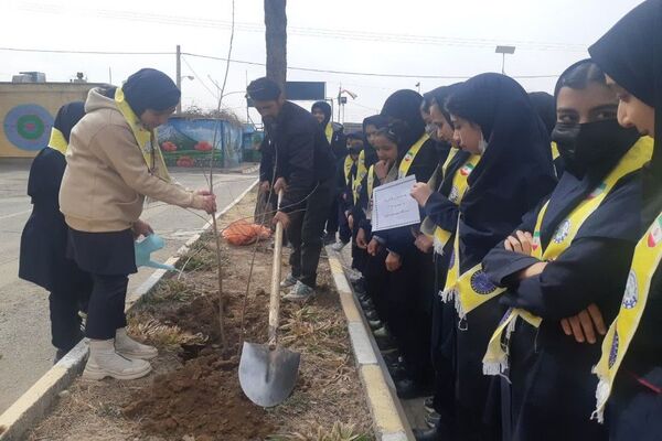 کاشت نهال به مناسبت روز درخت کاری دردبیرستان شهید مجید دهنوی 