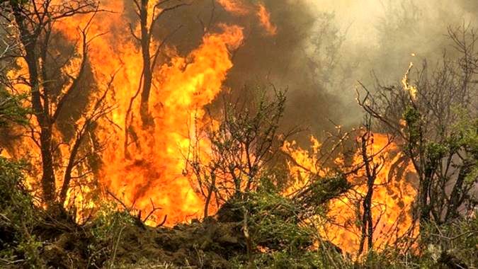 مدارس بهترین بستر برای ترویج فرهنگ محیط‌زیست هستند