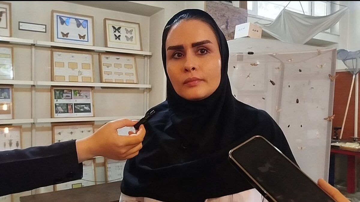 ضرورت وجود «بخش رده‌بندی حشرات» در پژوهشکده‌ها؛ توضیحات فاطمه عبدالاحدی