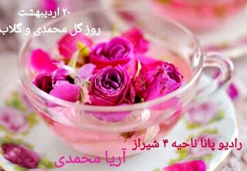  از دل خار، عطر امید و زندگی می‌آید