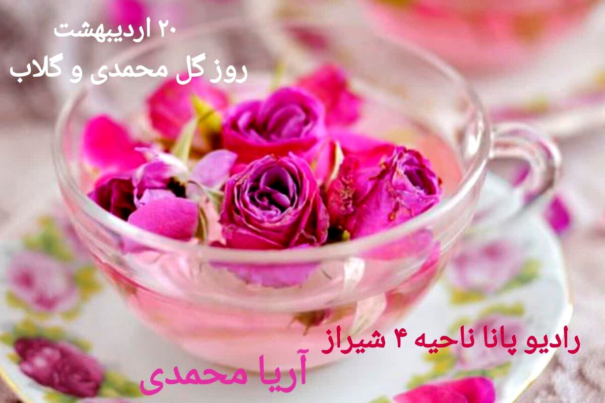  از دل خار، عطر امید و زندگی می‌آید