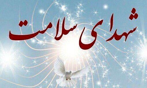 افزایش شهدای تیم ملی سلامت در پی حملات به کشور