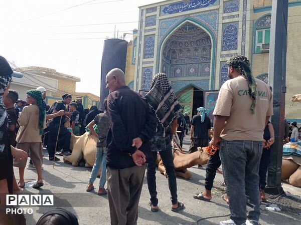 شکوه ارادت نسل نو در همایش پیاده‌روی «جاماندگان اربعین» روستای کنارترش