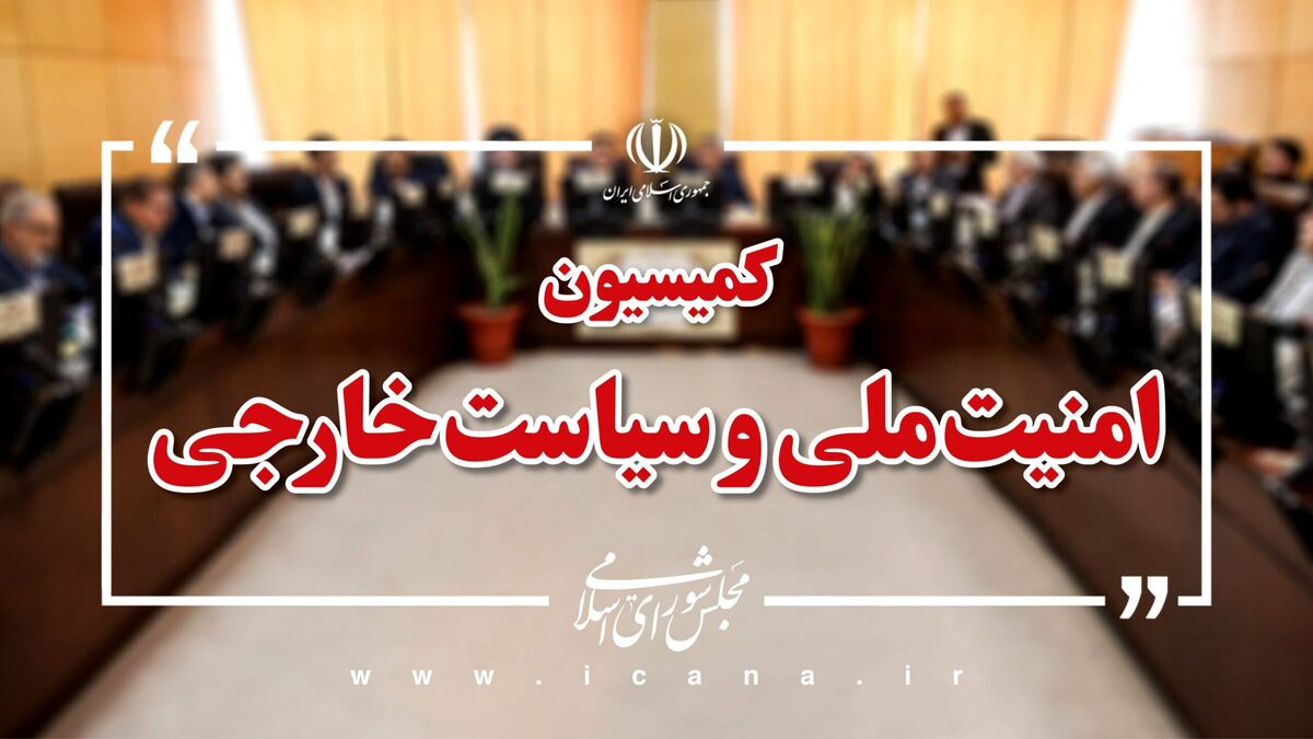 رضایی: نیروی هوایی ارتش روی پای خود ایستاده و از حریم هوایی کشور دفاع می‌کند