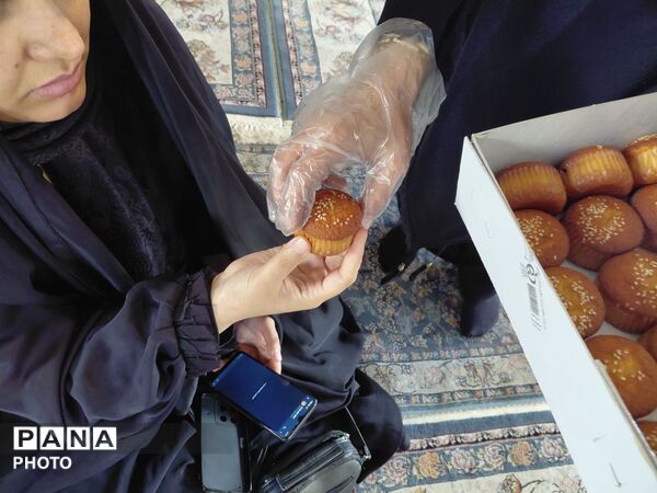 ادامه مسیر کربلا با شیرخوارگان حسینی
