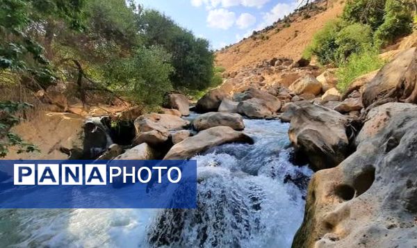 طبیعت سر سبز رفن به هنگام بهار