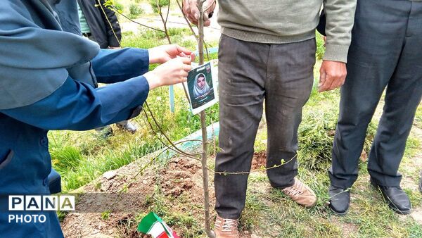پویش کاشت نهال به یاد شهدای میناب در مدرسه فضیلت