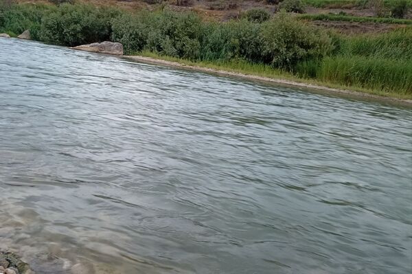 نجوای ارمند؛ سمفونی طبیعت در آبچنار