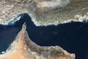 سردار شکارچی: ابتکار عمل در تنگه هرمز در دست ایران است