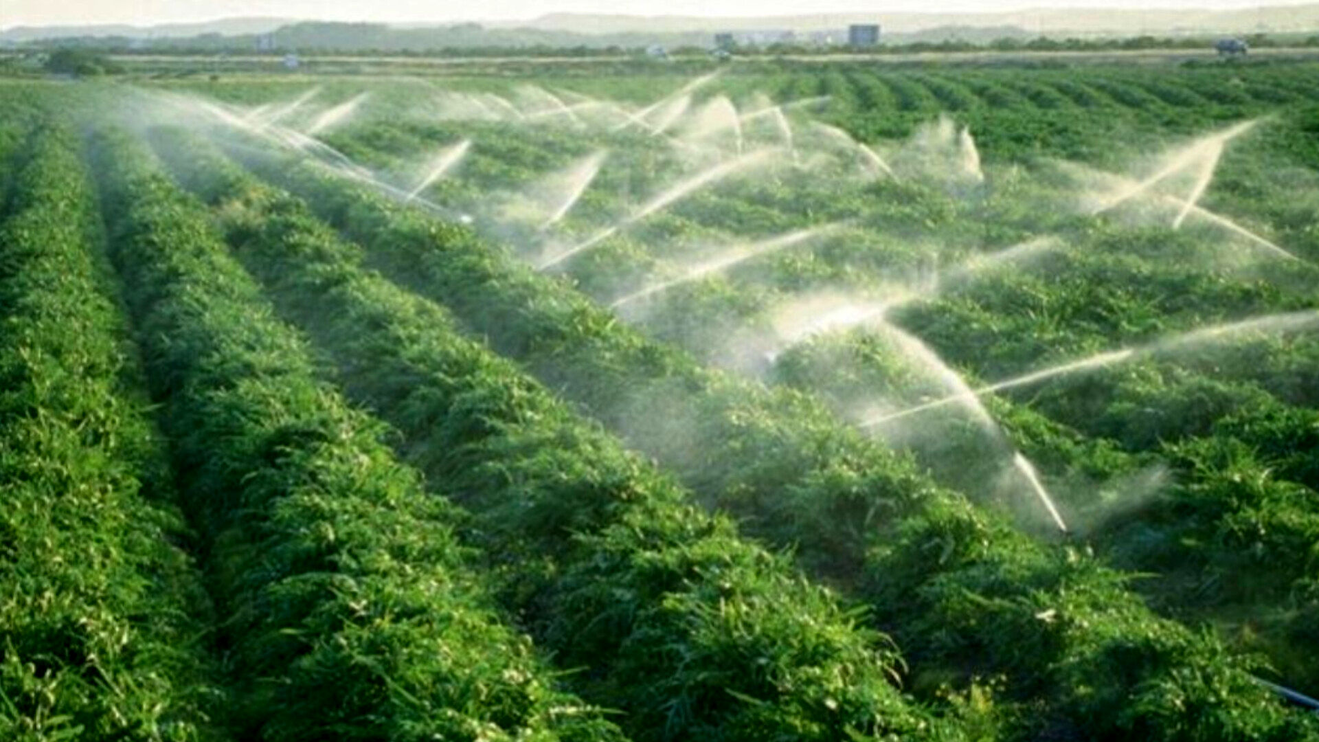 اجرای آبیاری قطره‌ای در باغ‌های روستای قائد طاهر استان لرستان