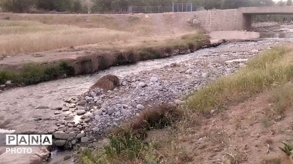سمفونی رنگ‌ها در دامنه‌های گرین؛ سفری به دیار کهن الشتر