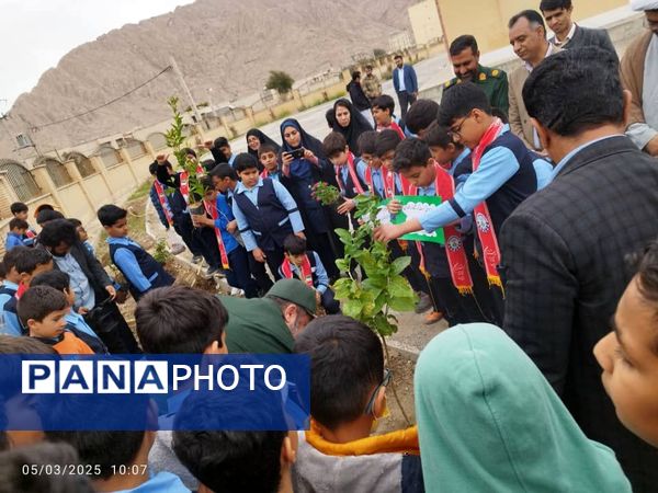 مراسم نمادین کاشت نهال در حاجی‌آباد 