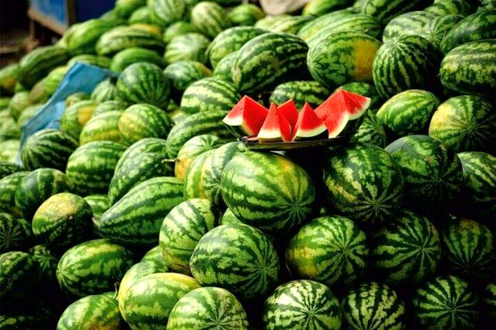 عرضه ۲۵۲ هزار تُن هندوانه پاییزه به بازار
