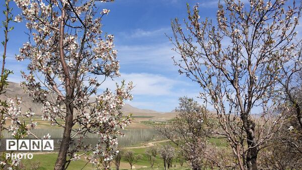 بالاقلی، جایی که روحتان تازه می‌شود