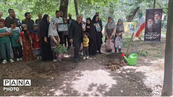 سرو ایران در آزادشهر ریشه دواند