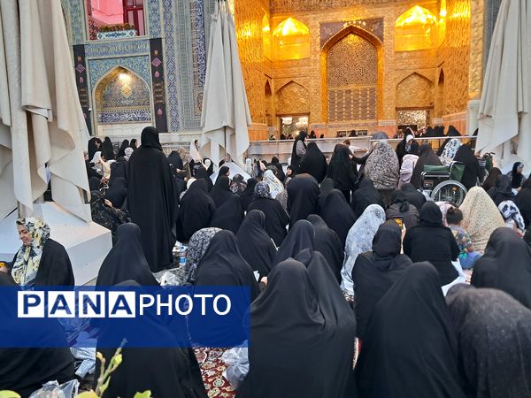 کبوتر حرم مشهد مقدس