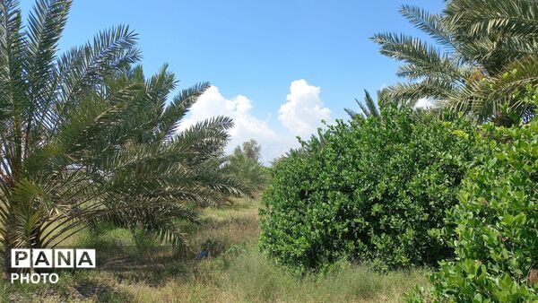 طبیعت هرگز تکراری و خسته‌کننده نمی‌شود