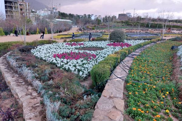 باغ گل ها در شهر گل ها شیراز