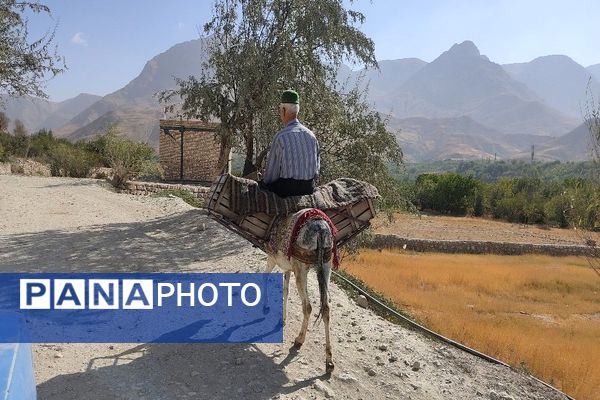 تصاویر زیبا از پاییز رنگارنگ در شهر دار السادات بار نیشابور 