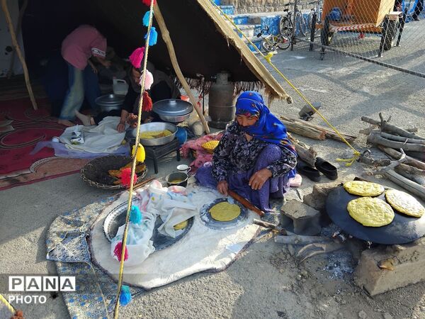 اولین جشنواره سیب در شیروان