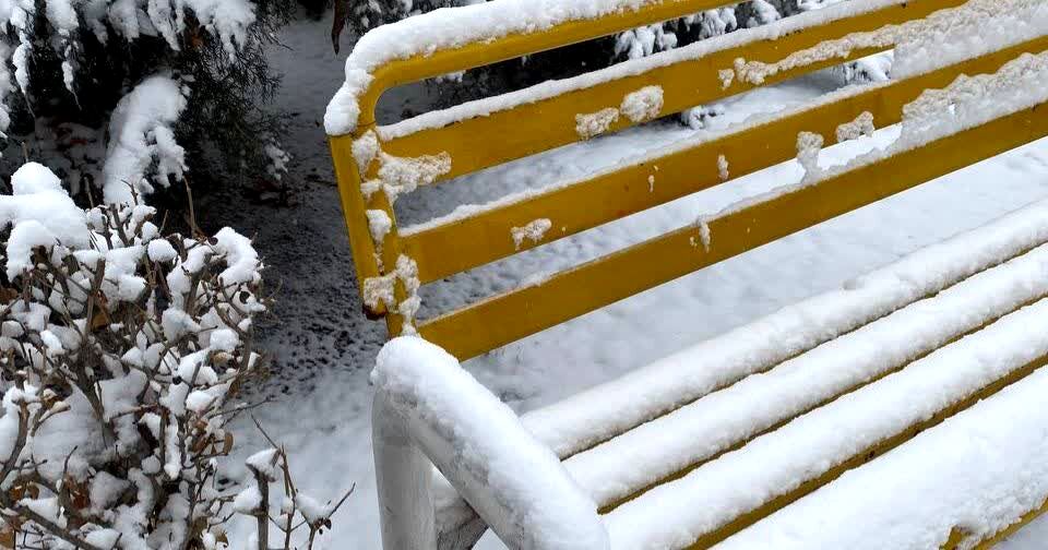 بارش برف در استان البرز 