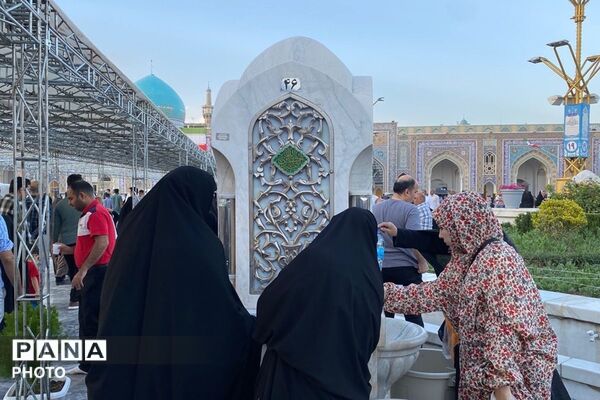 سفر به دیار مهربانی