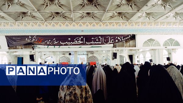 نماز جمعه کاشمر 