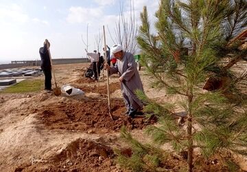 نهال کاری در آرامستان روستای گزکوه 