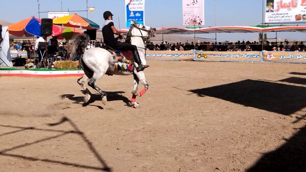مراسم شوسواره کشوری ارسباران در اهر