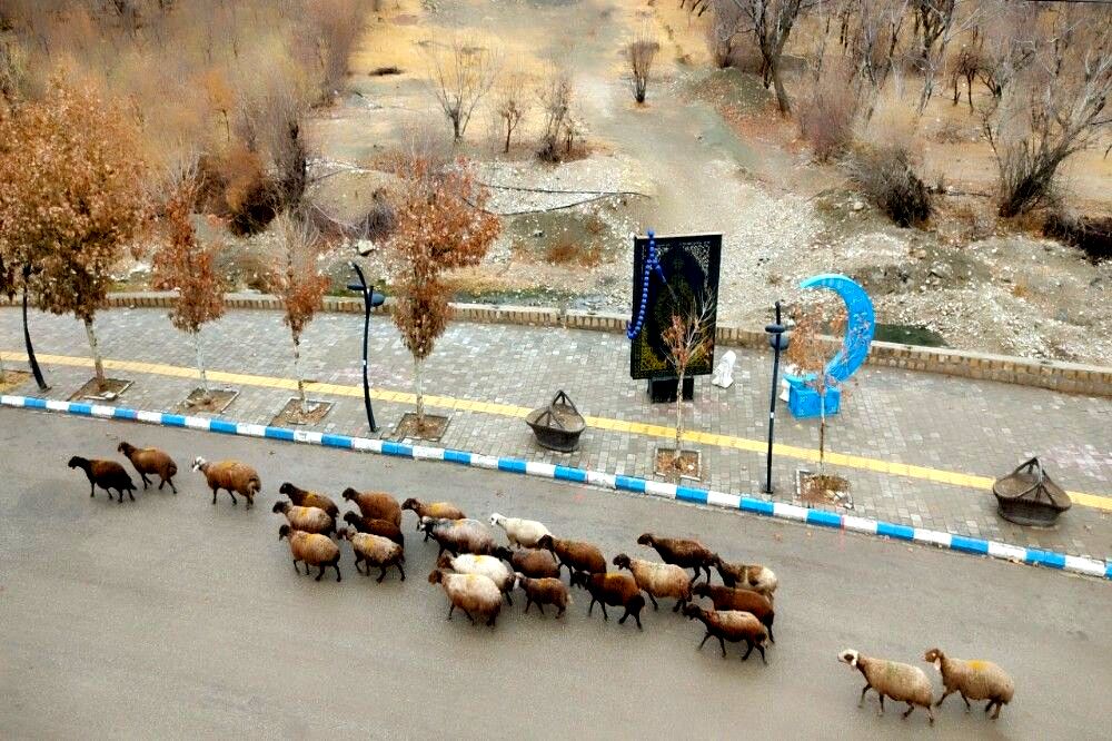 چهره شفاف و دل انگیز شهربارنیشابور با بارش  باران پاییزی  