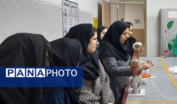 کارگاه تشریح قلب و آناتومی بدن انسان