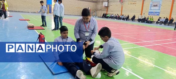 جشنواره مهارت علمی سفیران سلامت