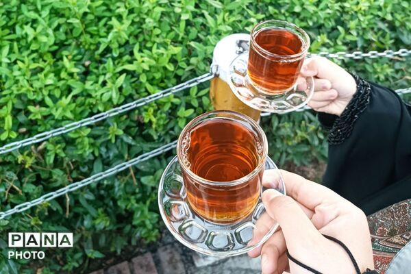 زائران در حرم رضوی میان غم محرم و انتظار امامت
